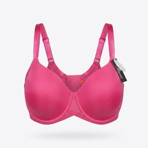 Paramour marvelous Fushia T-Shirt Bra Sz 40DDD NWT
